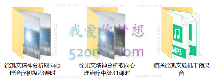 徐凯文：精神分析取向心理治疗初级、中级以及危机干预等.
