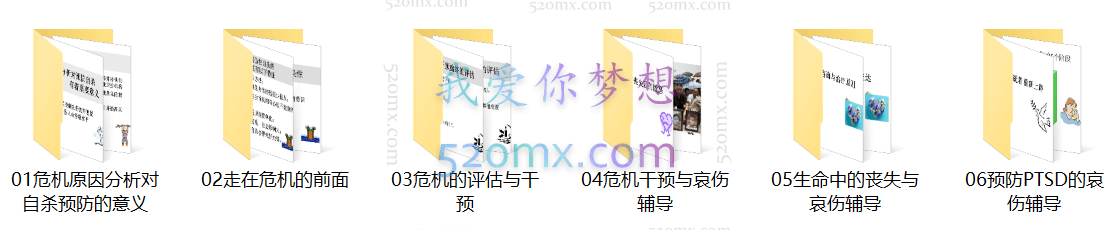 张海燕：微课6讲《心理危机干预与哀伤辅导》录音