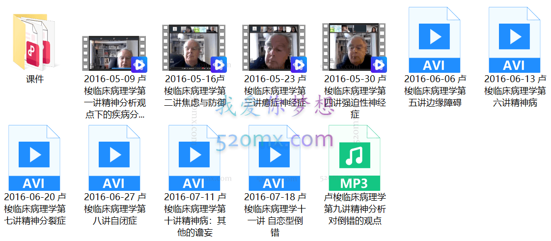 卢梭:2016精神分析的疾病分类学网络视频课程11讲 录像+课件