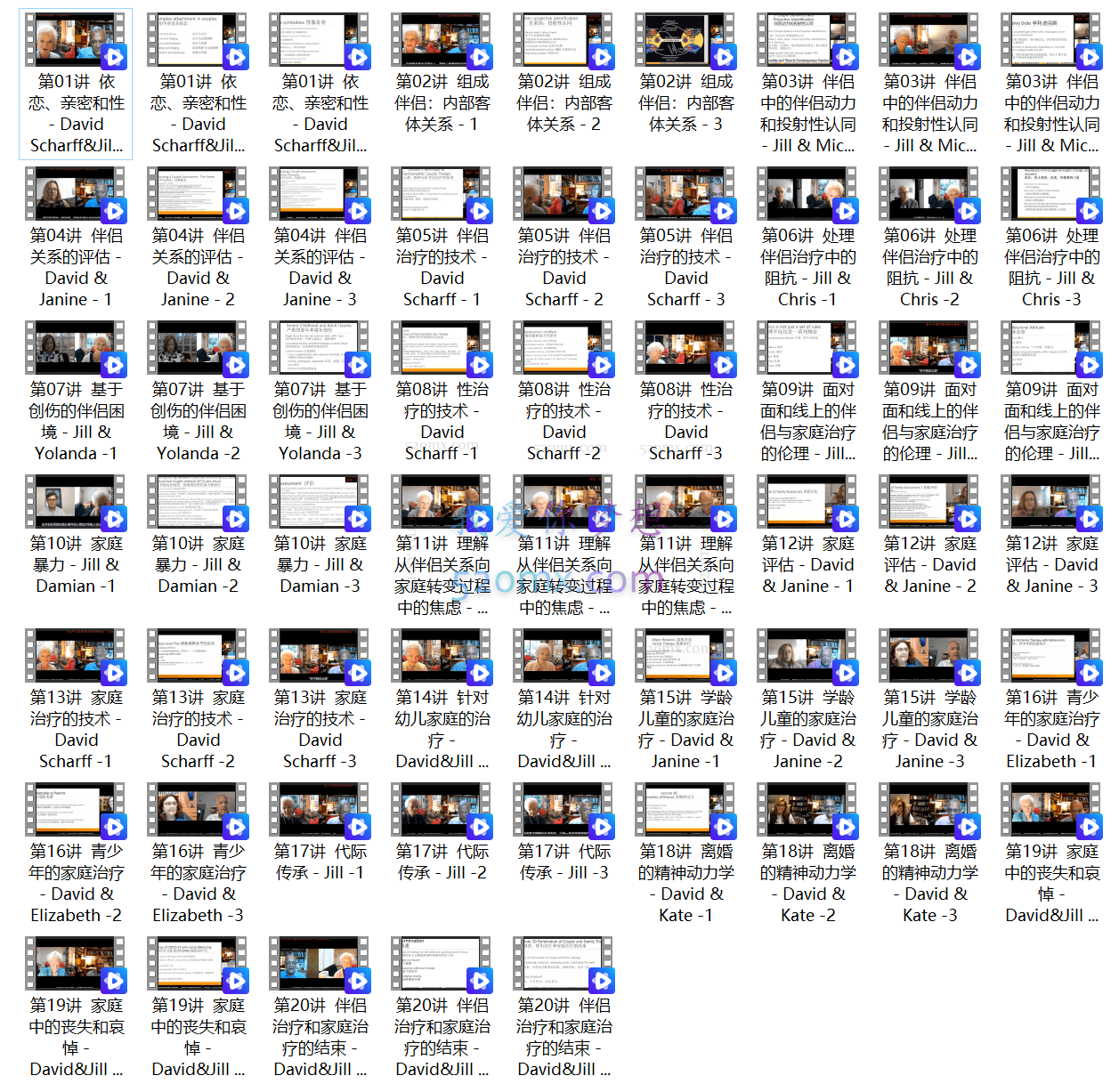 《咖说》经典课 伴侣和家庭精-分析基础课