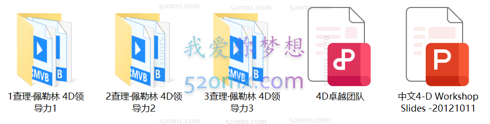 查理·佩勒林亲授:4D领导力团队教练技术课程录像14时