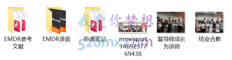 EMDR：眼动脱敏与再加工创伤治疗师培训课程录音+笔记
