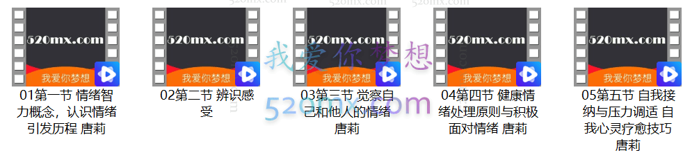 中加国际情绪管理师培训录音+课件资料