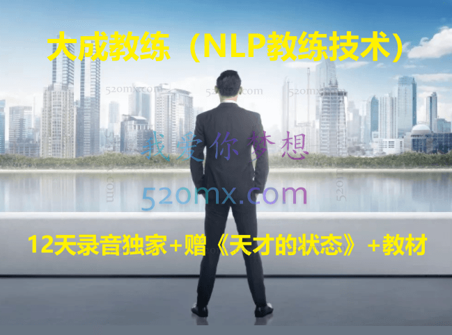 大成教练(NLP教练技术)12天录音独家+赠《天才的状态》+教材 #2