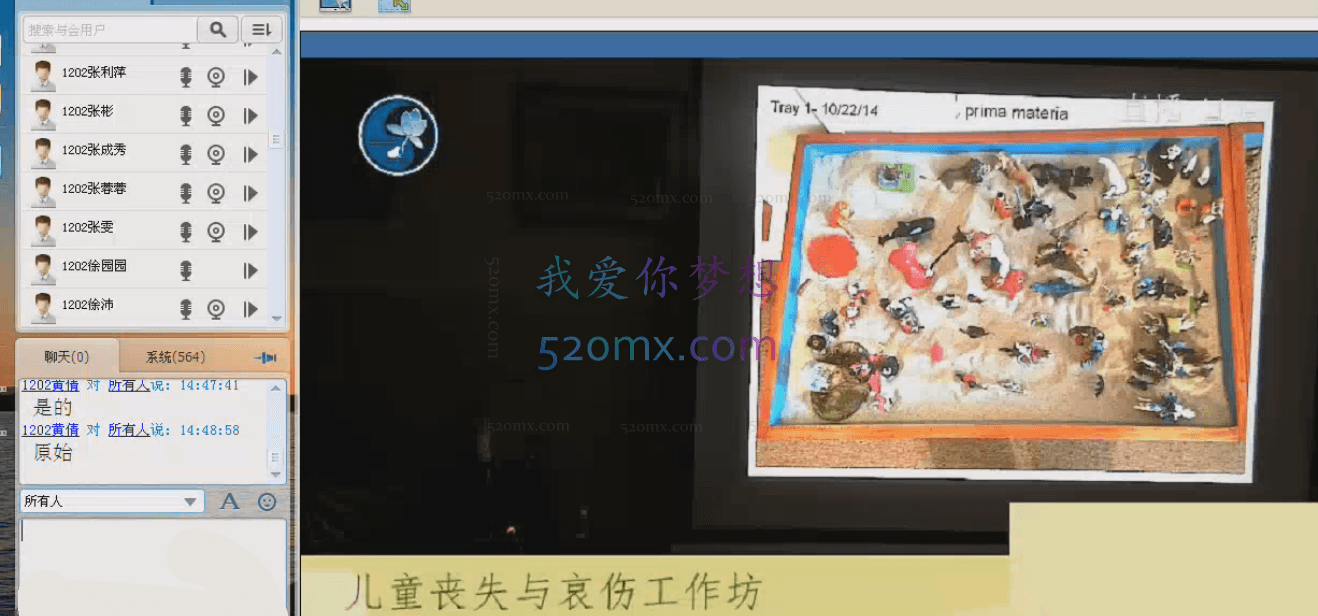 Liza J.Ravitz儿童哀伤国际工作坊-基于荣格理论的临床治疗网络直播录像