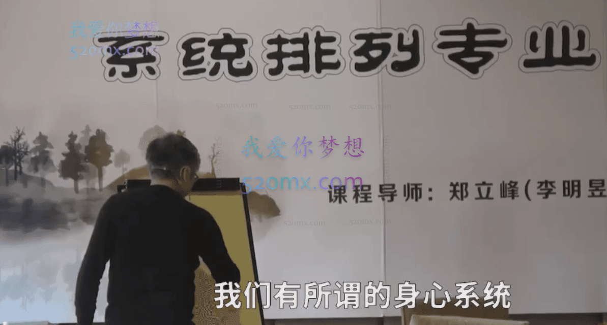 郑立峰:家排系列专业初级导师班-家庭系统整合线下课实录精选