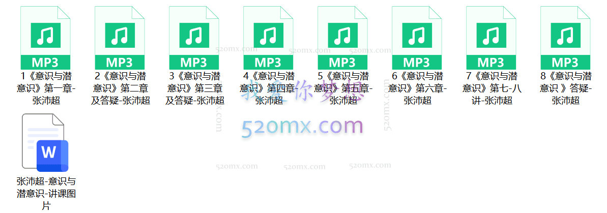 张沛超-心理治疗的13个核心主题
