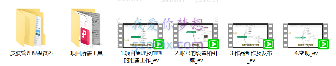 思维技术应用专家张蕾:23堂思维导图课