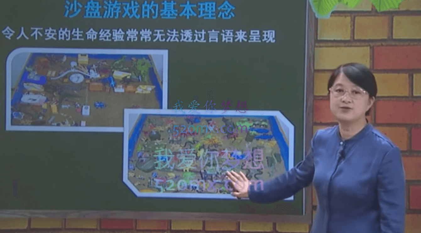 梁晶晔：通往心灵之路儿童沙盘游戏疗法 7集视频