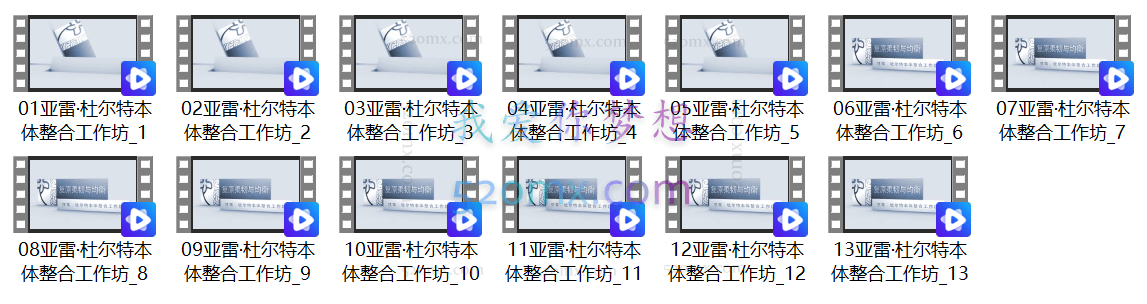 亚雷.杜尔特：本体整合工作坊高清视频录像