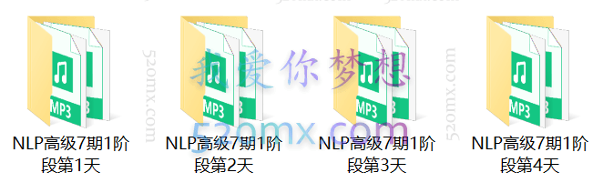 张国维：NLP高级执行师
