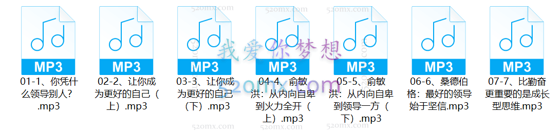 销售大玩家:领导力