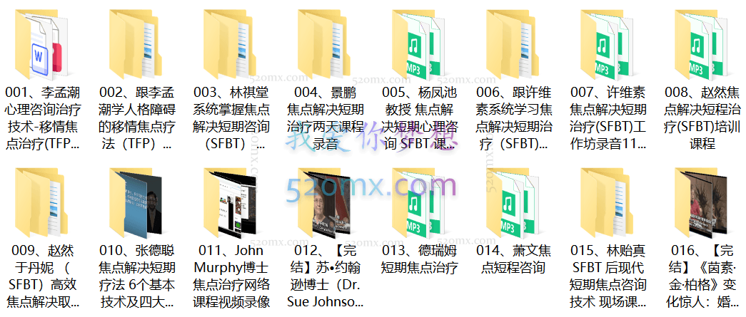 景鹏：焦点解决合集
