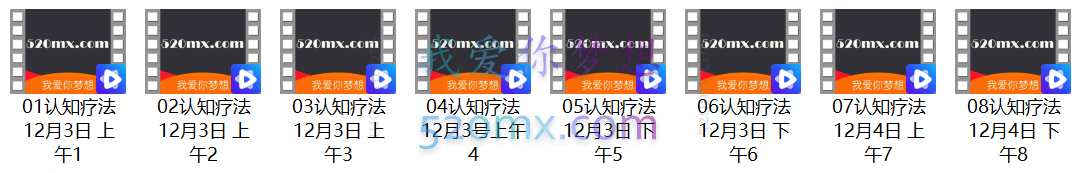 姜辉:认知行为疗法录音+课件资料