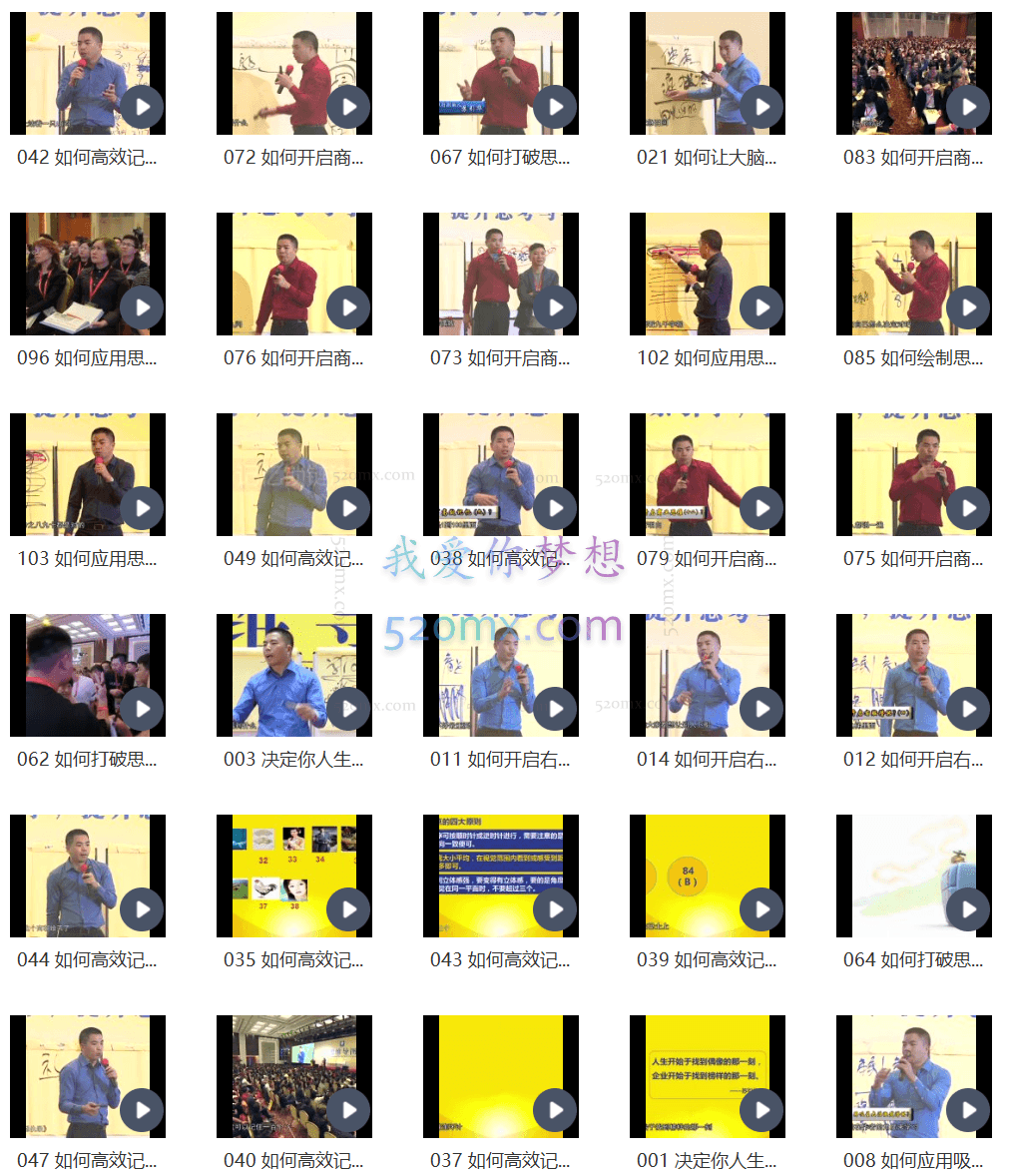 苏引华《2019思维导图》(108集)视频