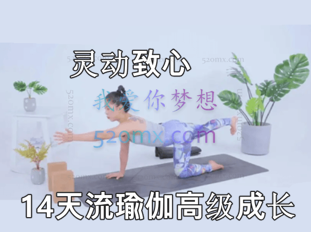 碧茜：灵动致心14天流瑜伽-高级成长