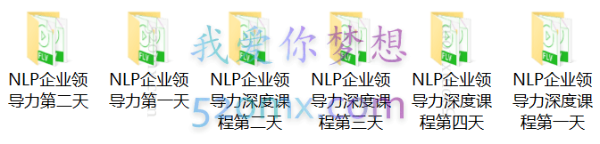 尼克NLP领导力高清视频