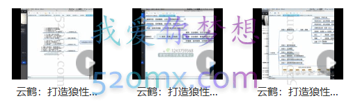 云鹤电商：打造狼性团队的全秘籍
