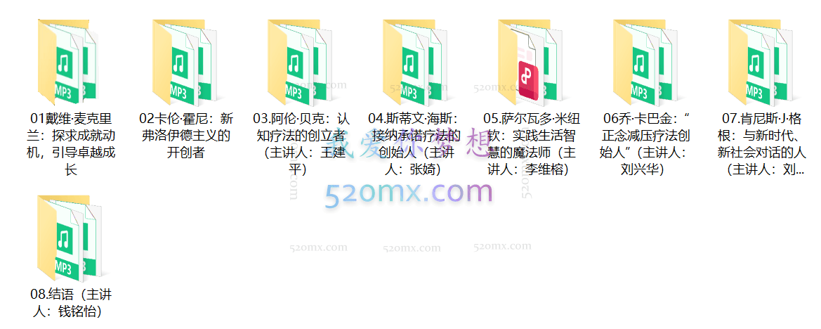 乘风破浪的心理学大师 11位大咖解读大师的成长史-向伪心理学say no 88讲音频课