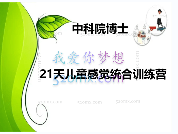 中科院博士:21天儿童感觉统合训练营,六模块微课录音+图文资料