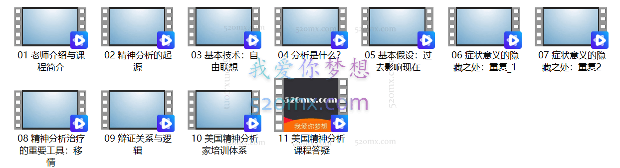 郑禹:美国精分-系统可操作的精分