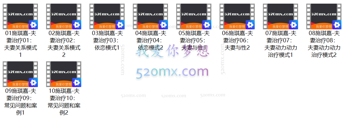 施琪嘉：夫妻治疗与性心理治疗，微课10讲录音+整理文稿