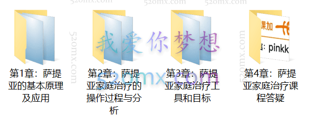 丛非从：萨提亚模式理论技术及应用 如何重构家庭积极系统