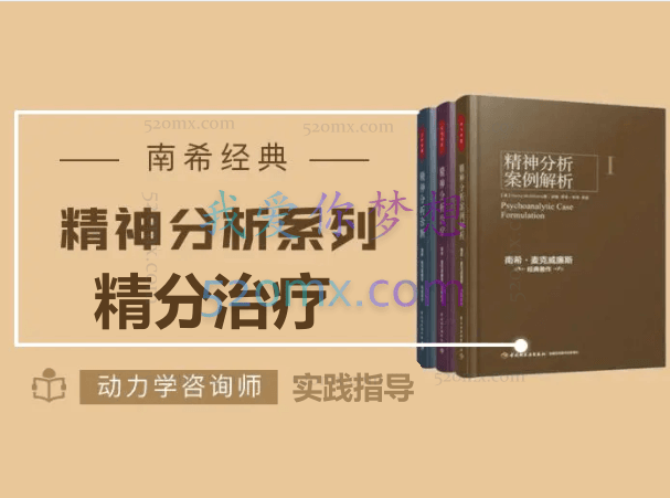 南希经典:精分治疗-实践指导动力学咨询师解读微课8讲