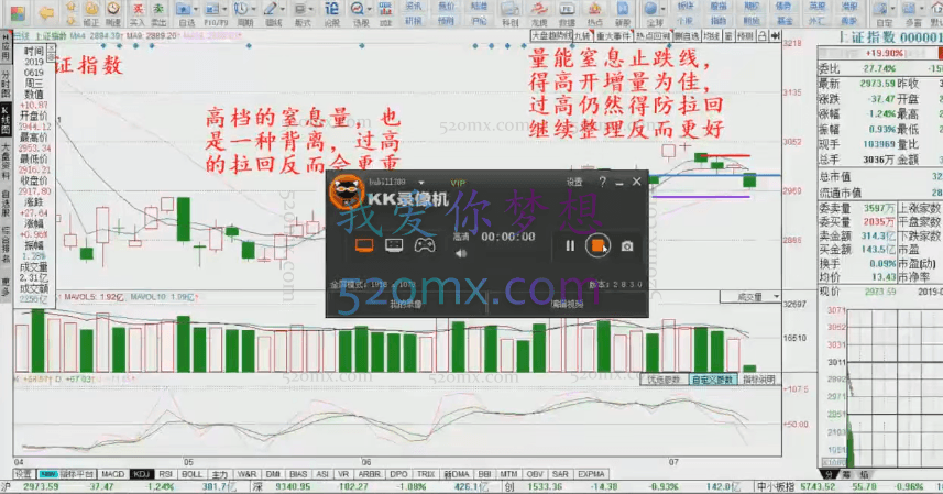 林新象：2019年6月成为人生最强者线上课30集+5盘中指导