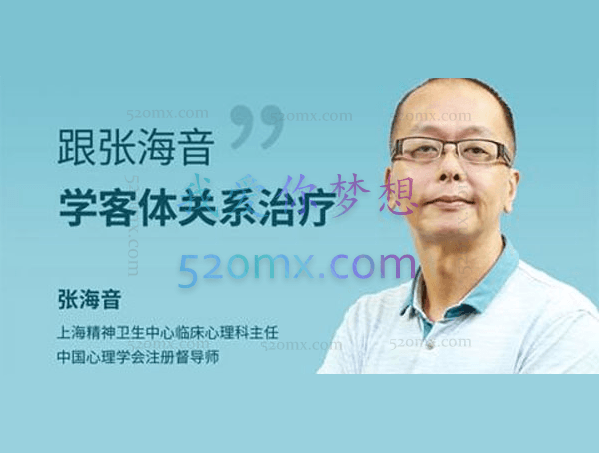 张海音:系统学习精神分析理论之客体关系治疗