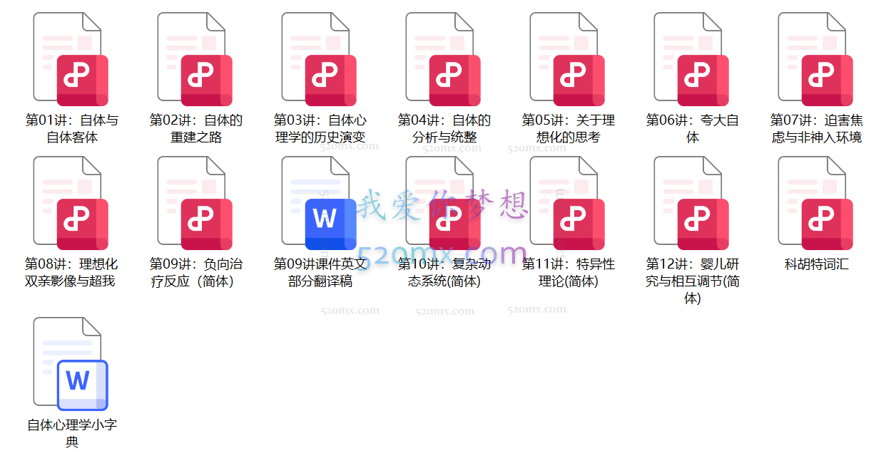 許豪沖：当代自体心理学的临床运用与治愈之道 视频+课件