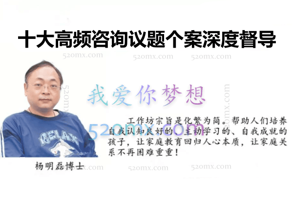 杨明磊:十大高频咨询议题个案深度督导