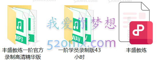 斯蒂芬吉利根：丰盛教练一阶现场录音