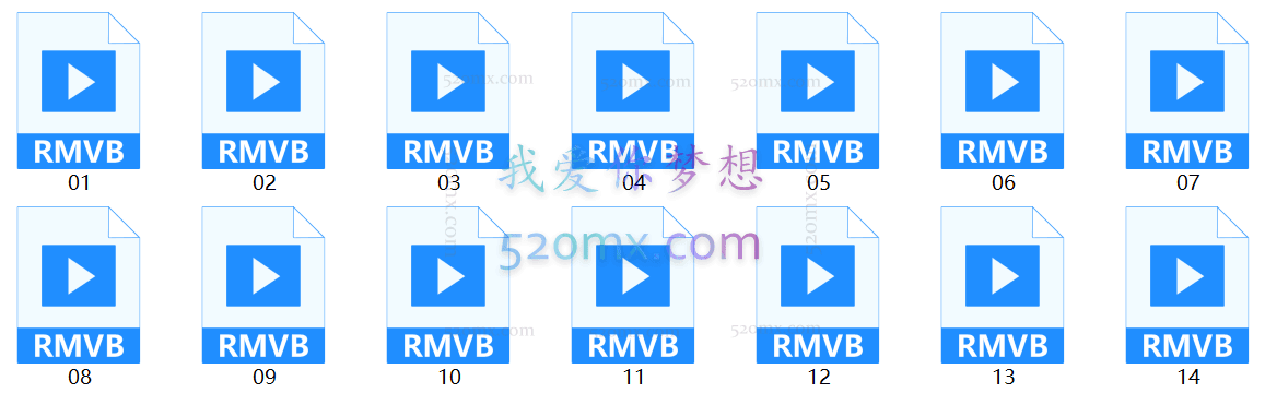 查理·佩勒林亲授:4D领导力团队教练技术课程录像14时