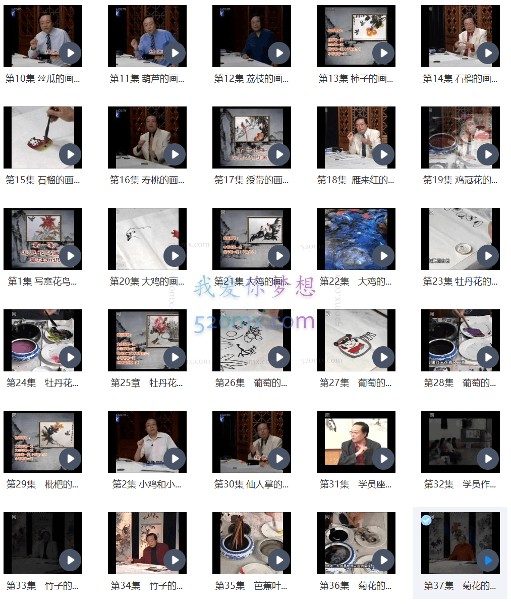 徐湛国画花鸟画64节