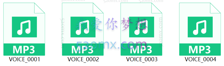 大成教练(NLP教练技术)12天录音独家+赠《天才的状态》+教材 #2