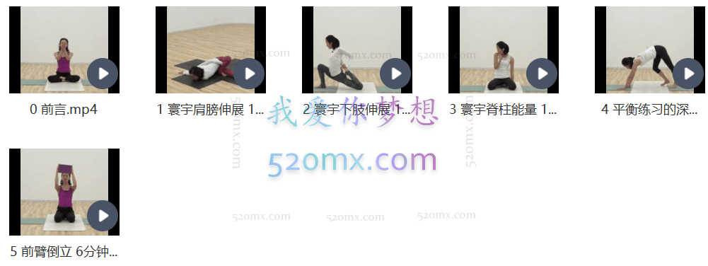 Liya Xiong-寰宇瑜伽分解练习短系列