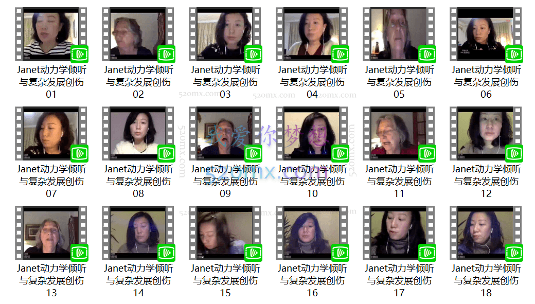 Janet讲动力学倾听与复杂发展创伤的治疗应用(18堂)