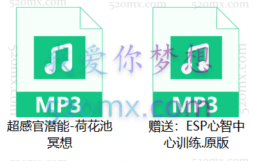超意识ESP超感官潜能 心像训练荷花池冥想 右脑潜意识 西瓦心灵术