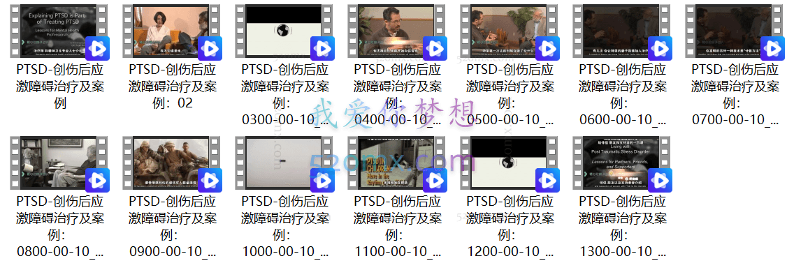 【美国PTSD第一人】创伤后应激障碍治疗及案例
