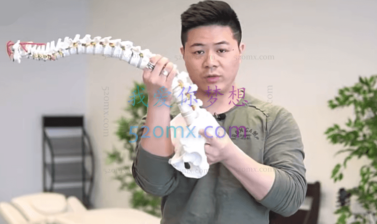 CPAL形体矫正:腰腹形体美学矫正课程,紧致+曲线的塑造