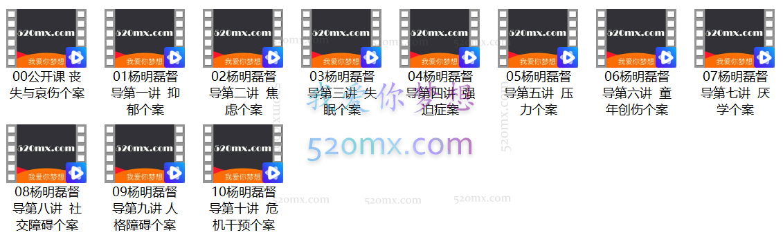 杨明磊:十大高频咨询议题个案深度督导