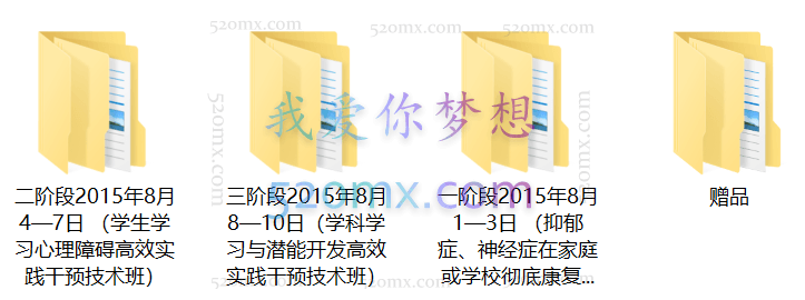 金洪源:第八十一届元认知心理干预技术全套