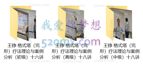 王铮:格式塔疗法理论与案例分析初中高系列课程