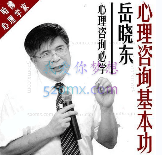 岳晓东:心理咨询全集+赠品 #2