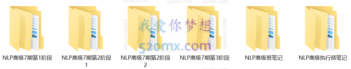 张国维：NLP高级执行师