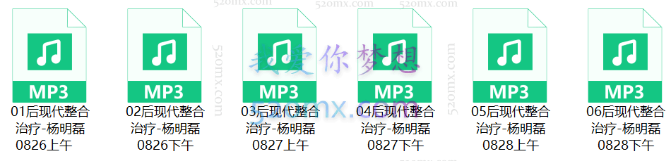 杨明磊 《后现代整合心理治疗实战工作坊》