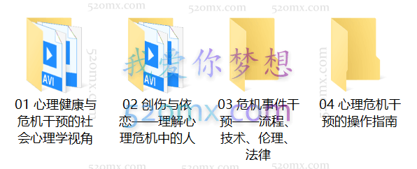 徐凯文:危机干预 远程培训,从理论背景到技术实施(课程视频+课件)