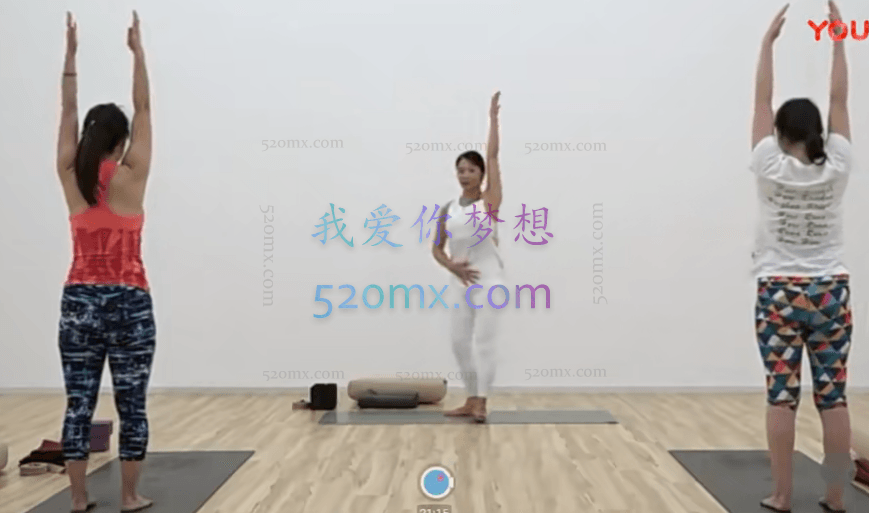 陈蕙七日瑜伽计划1-2级