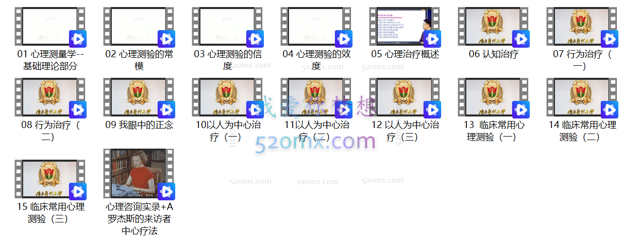 南方医科大学研究生课程《心理测量与心理治疗》